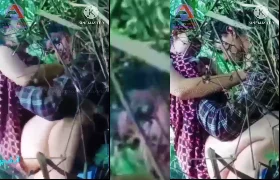 စော်လေးကိုတောထဲမှာခေါ်လိုးစော်လေး ထန်ပြီးတက်စောင့်အောကား