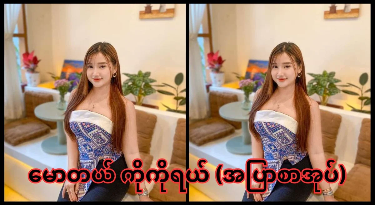 ကြားကားဆွဲတဲ့ ကားသမားအသည်း – အပြာစာပေ
