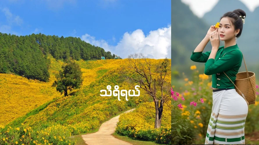 သီရိရယ်
