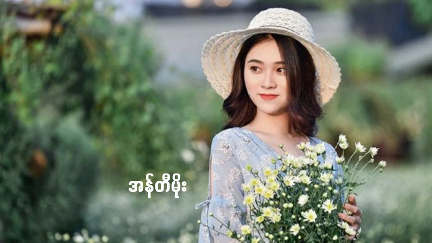 အန်တီမိုး