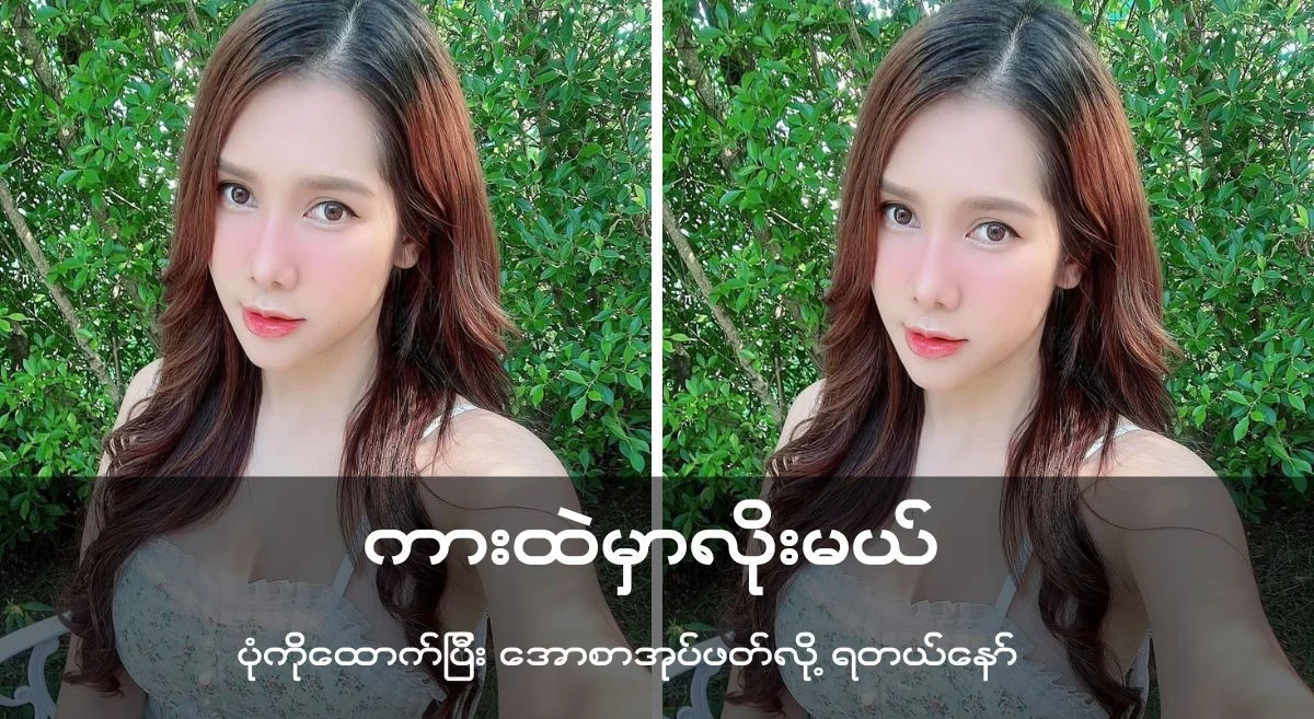 ကားထဲမှာ လိုးမယ်